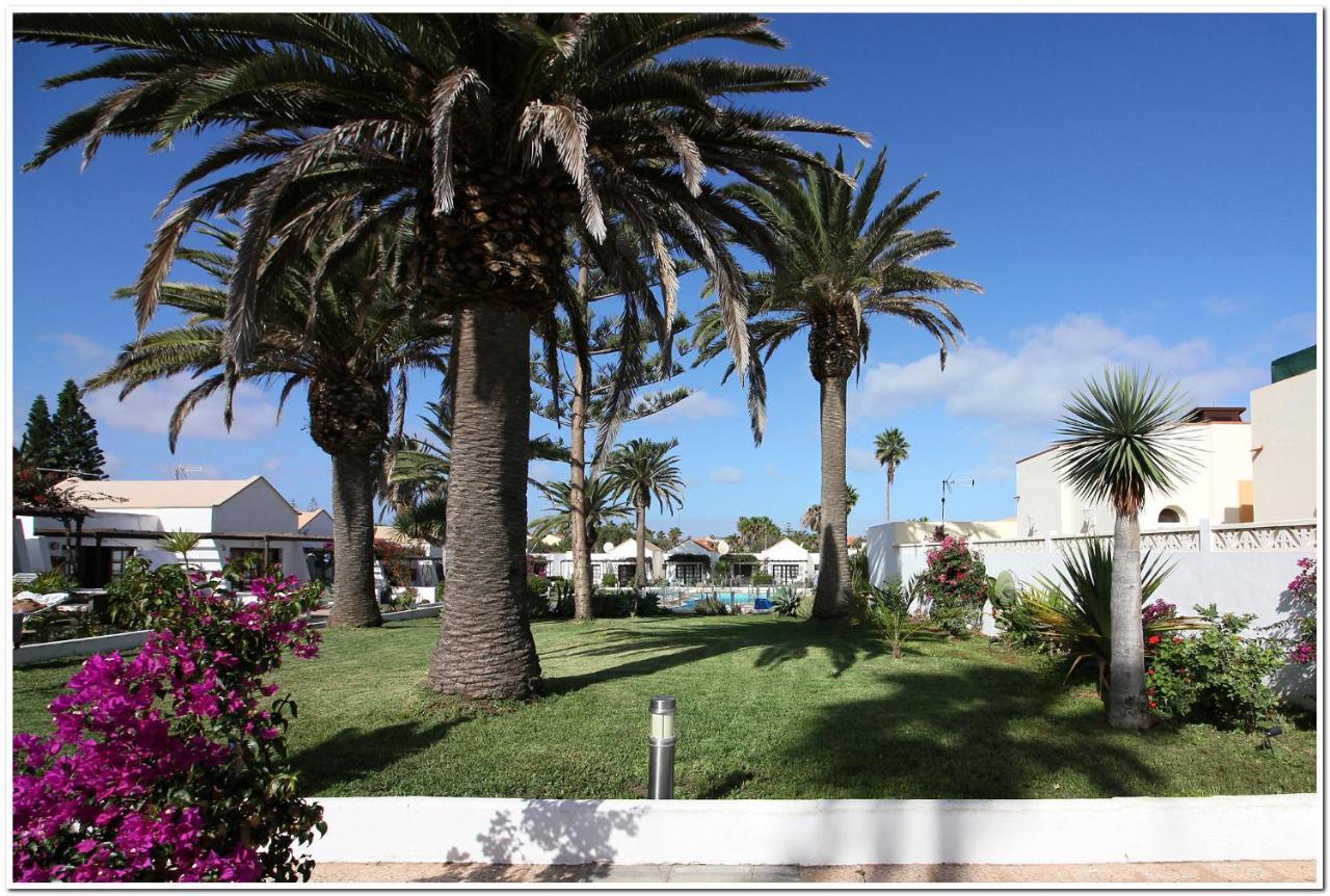 Estrella Del Mar 8. 1 Bedroom Villa With Pool And Gardens 300 Metres From The Beach Corralejo Buitenkant foto